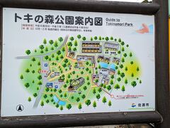 佐渡乳業のソフトクリームを目指して移動したが、クローズド。仕方ないのでトキ公園に寄る。
そしてたらい舟近辺の宿へ向かうのに、大佐渡ドライブインを使うが…
全面霧で、なんも見えず。爽快ドライブの予定は達成できずでした。