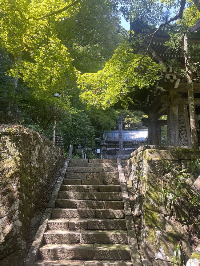 大雄山 最乗寺』神奈川県の旅行記・ブログ by sagamiさん 大雄山 最乗寺』神奈川県の旅行記・ブログ by sagamiさん