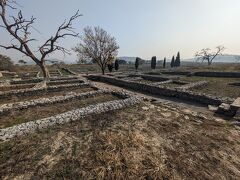 世界遺産もある。
イスラム教の色が強い国だって、仏教の研究もしてるし、遺跡も発掘してる。自分の偏見を反省した。