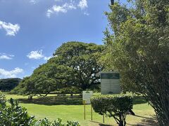 まずはこちら
日立のCMで有名な、公園モアナルア・ガーデンにあるモンキーポッドです