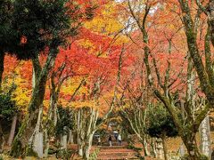 鶏足寺(旧飯福寺)