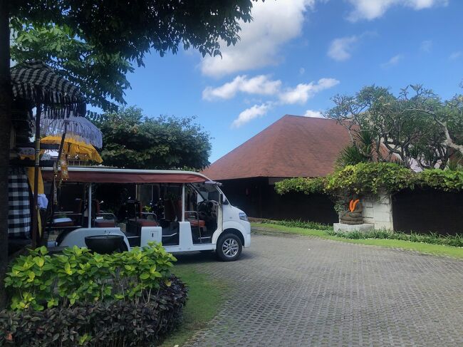 ダウンタウン・ヴィラは、スミニャックのスタイリッシュ系ヴィラの先駆けと言ってもいいのではないでしょうか。私がバリ島詣を開始した頃から、ガイドブックには必ずと言っていいほど掲載されていました。<br />でも、実はあまり好みのタイプではなかった、スミニャックなら、昔、両親と泊まったこの近くの「THE VILLAS」(現在はImpiana Private Villa)や、３世代で泊まった「THE Dusun」のような、アランアランの屋根が特徴的なヴィラが好きだった。<br />だからここは選択肢から外されていました。