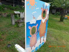 鹿島の鹿の撮影用の看板ですが、思わず八丈島の「きょん」を思い出してしまいました。鹿島の鹿は本土の鹿より小さく、臆病で警戒心が強く人に慣れにくいそうです。