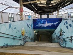 本来は葛西臨海公園でも遊ばせるつもりでしたが、雨が降って来たので断念しました。暑かったので浜辺で水遊びをさせたかったのですが仕方ありません。

やや陳腐化を感じたとはいえ展示のクオリティが高く良い施設でしたが、少し前に孫と訪れた「しながわ水族館」と異なり葛西臨海水族園はショーの類がないので、飽きるのが早いのも仕方ないと思いました。

話は変わりますが、孫は新たなテーマとして昆虫に興味を持っていることが判明したので、残暑継続なら次は上野の国立科学博物館に連れて行こうと相方と話しながら帰路につきました。

ここまでお付き合いいただき、ありがとうございました。