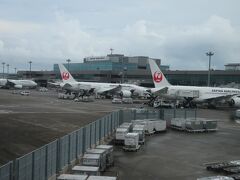 9,無事成田空港到着。
 JAL便はほぼ満席で、米国行の利用が多く見られた。
 
 帰路、京成スカイライナー利用が便利でした。
