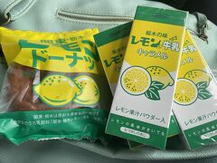 東北自動車動の佐野SAで最初の休憩。
朝ごはんにレモンドーナツを買いました。
今回のツアーはお土産を買うチャンスがほとんどないということで、もうここで友達にあげるためのお土産を購入。