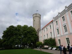 のっぽのヘルマン。高さ５０メートル、てっぺんにはエストニア国旗。