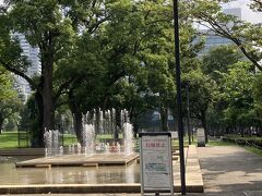 広々としています。