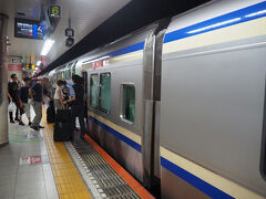 というのは、うそでーす。
いつもの横須賀線2階建てグリーン車で東京駅に着いたのは11時前。