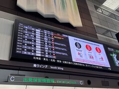 当日は最寄駅からリムジンバスの予定でしたが。
5分前にバス停着いたら行列が出来ていて、スタッフさんに「満員なので次のバス(30分後)になります」と言われて…
ええっ！ホントですか？！∑(ﾟДﾟ)
こんなこと初めて(*_*)

到着時間はそんなに変わらないけれど、ただ30分待つのも嫌だしバスのが高いので。
だったら、と在来線で移動しました。
余裕持って到着するハズだったのにー。