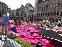 沢山の方々のおかげで素晴らしいフラワーカーペットが観られるんですね！！！。

ご苦労様です♪。