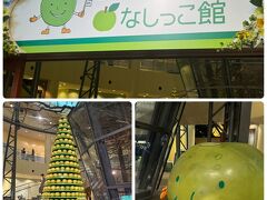 帰りに倉吉未来中心にある
なしっこ館へ寄ってきました
未来中心は何度も行ってるんだけど　なしっこ館は初めて行きます