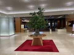 今夜のホテル
2食付きで2人で25,000円でした。
平日だから安く予約できた！