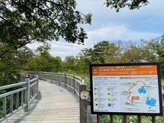 羅臼の観光船が欠航になってしまったので、知床五湖に行ってみます。
駐車場利用料金は500円。
知床五湖は地上遊歩道と高架木道の2つがありますが、今回は高架木道に行きます。
