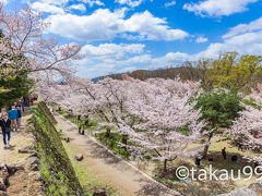 小諸城趾懐古園（日本さくら名所100選・日本100名城）