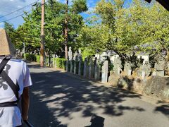 お釈迦様のお弟子さん200体
奉納されたもの