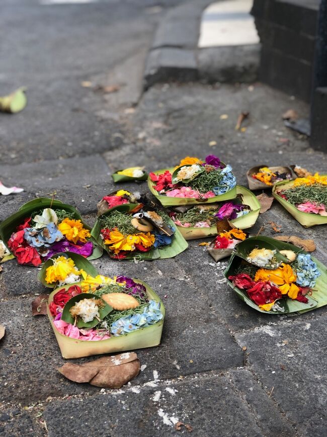 朝はまだ色鮮やかなチャナンたち。