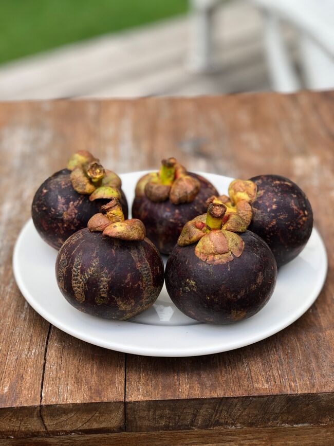 嬉しすぎる｡･ﾟ･(ﾉД`)･ﾟ･｡<br />70k/kg × 0.598kg でRp41,860<br />た、高い、、、けど仕方ない！！