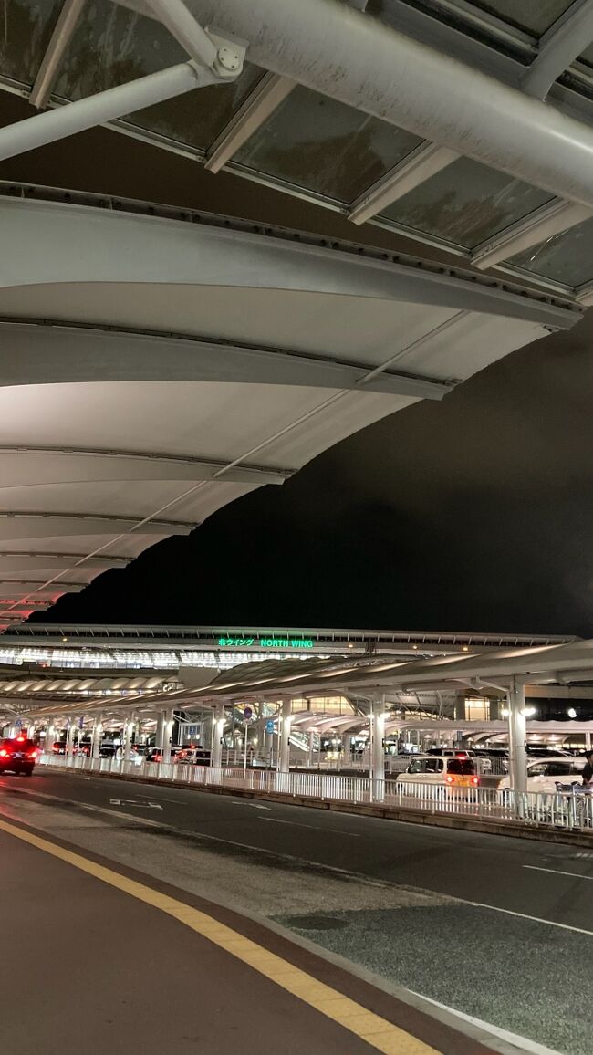 2024年の渡バリもこれにておしまい。<br />帰国した時の、バリへの喪失感と、家族で無事渡バリして帰ってこれた、満たされた感じと。色んな感情が織り混ざる。<br /><br />次はいつ行けるかな～<br /><br />長々とお付き合い頂きありがとうございました。