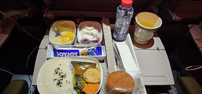 エミレーツ航空22時30分発のドバイ行き。<br /><br />久しぶりのエミレーツ、中東のエアラインですが機内食が美味しいの。<br /><br />