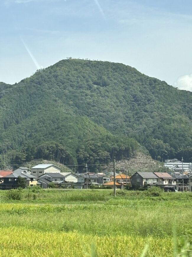 ひょうごさんぽ 春日の局の誕生 黒井城のふもとの興禅寺～春日歴史資料館へ。』丹波（兵庫）(兵庫県)の旅行記・ブログ by  hijunoさん【フォートラベル】