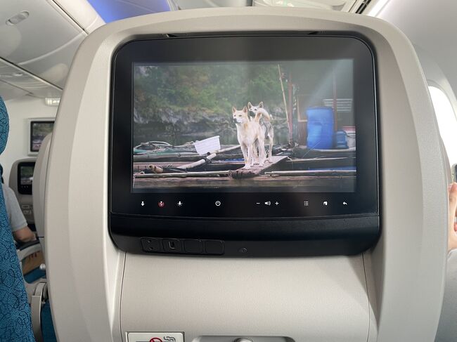 ボーディングしました<br />この様な機材<br />充分です