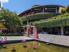 ビーチウォーククタ
地下のスーパーに行ったら改装中でクローズでした。残念。