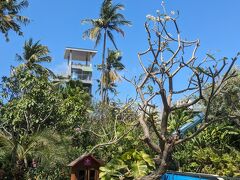 安心のブルーバードタクシーで次のホテルまで行き、スーツケースを預かってもらってからウォータボムパークへ。
今回Grabが時間かかりそうな時はブルーバード呼んでもらってました。アプリを入れてないのでキャッシュのみ。

こちらのチケット、KLOOKの抽選で当選したものを使わせていただきました。
今夏開催していたKLOOKのルーレット、ウォータボム以外にもパリのルーブル美術館や凱旋門、ドバイフレーム、マリーナベイサンズの展望台などたっくさんの無料チケットに当選。
本当に使えるの？って疑ってましたが、ウォータボムでQRコードを見せると大丈夫でした。割引価格で＠4500円ぐらいするので、太っ腹なキャンペーンでしたね。期限があるので他は使えそうにない。