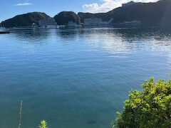 おはようございます。
部屋から対岸のホテル浦島が良く見えます。
海に小魚も泳いでる。