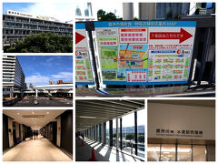 豊洲市場