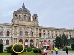 美術館エントランス手前には２つのチケット売り場があり、私は赤◯へ、妹は黄◯（木に隠れて見えませんが…）に並んで早い方で買うことにしました。

順番が来たので大人２枚とお願いすると、ウィーンシティカードの割引き（２１ユーロ→２０ユーロ、２人で６４３７円）を受けるには１人ずつのアプリ画面提示が必要とのこと。

妹に合図を送ろうとするものの傘を動かすこともできないほどの暴風雨で、結局歩いて妹を呼びに行ってまた２人で列に並び直しました（ムダ足…）。