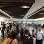 2024年9月 3か月連続で静岡に行ってきた①【リベンジ！伊豆マリオットホテル修善寺】