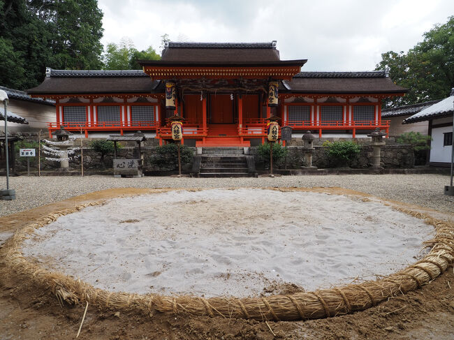 プロジェクトXに触発されて、薬師寺へ』奈良市(奈良県)の旅行記