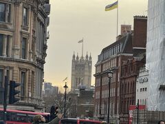 一休みしたので、時差になれるため陽の光を浴びに外に出ました