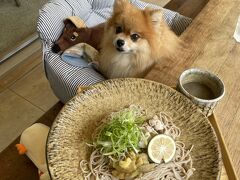 2024年7月13日

暑い！あつい！熱い！
2024年の夏はあつい！！！！

7月の海の日の3連休は山方面へ脱出で山中湖へ。

3連休初日、高速も混んでそうなので東名高速へ入るのも便利な246沿いの
”初代　鷺沼店”でお蕎麦ランチ。
ほぼ室内同様で冷暖房のあるテラス席わんこＯＫ！