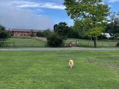 2024年7月15日

おはようございます。
旅行記上は夕食等とばして3連休最終日です。
（昨日の夕食は前日少し変更してくれてました）

今朝はまぁまぁ良い目のお天気。
せっかくなので広いドッグランで走ろうではないか！