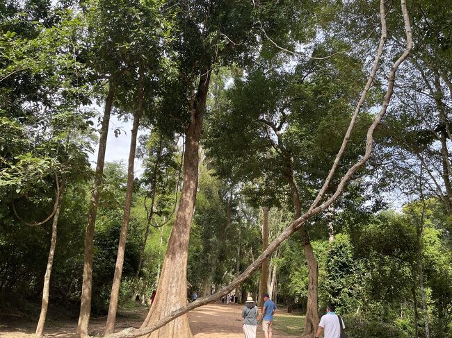 お腹がいっぱいになったら<br />次はタプローム