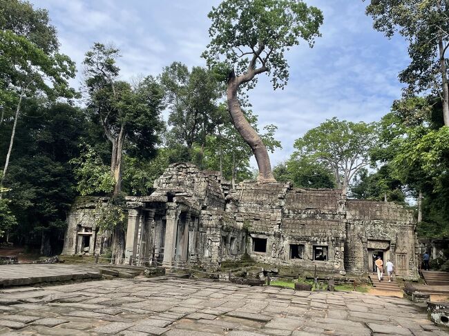 見えてきました