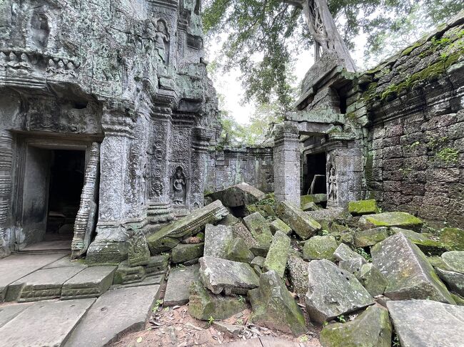 崩壊してるのも絵になる