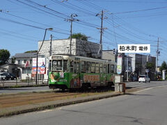 10:01
五稜郭公園前から2駅/4分。
柏木町電停で下車。

あっ！
古い電車だ。
あれに乗りたかったな。

おいおい、ラッピはどうした？