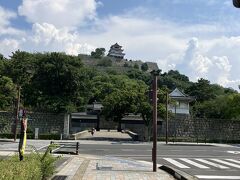 その図書館の手前に丸亀市役所があり、その先に見えているのが丸亀城というなんとすてきなロケーション。