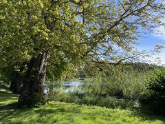 ロンドン市内を出る時に道路工事などで迂回したので、最初の観光地のリーズ城に着いたのは10時45分でした。個人で来ると駐車場から20分歩くそうですが、観光バスは5分ほどの場所に一時停車して乗り降りできるそうです。