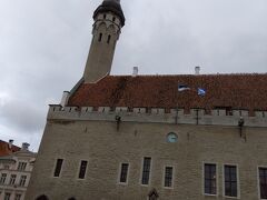 先ずは旧市街の中心部であるラエコヤ広場Raekoja platsに向かいます。

こちらはラエコヤ広場に面している旧市庁舎。
14世紀に建てられたゴシック様式の建物で、現在は市民ホールとして利用されています。