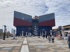 小学生ぶりの海遊館。みんなで懐かしい気持ちになりました。