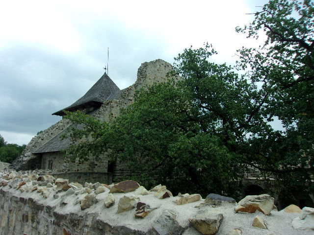 お隣の野外村落博物館も見えます。