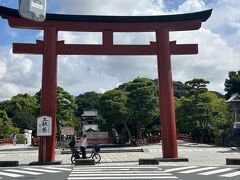 お食事の後は蓮の花を求めて鶴岡八幡宮に向かいました。