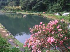 右手に浅川国際マス釣場。
サルスベリの花が綺麗です。