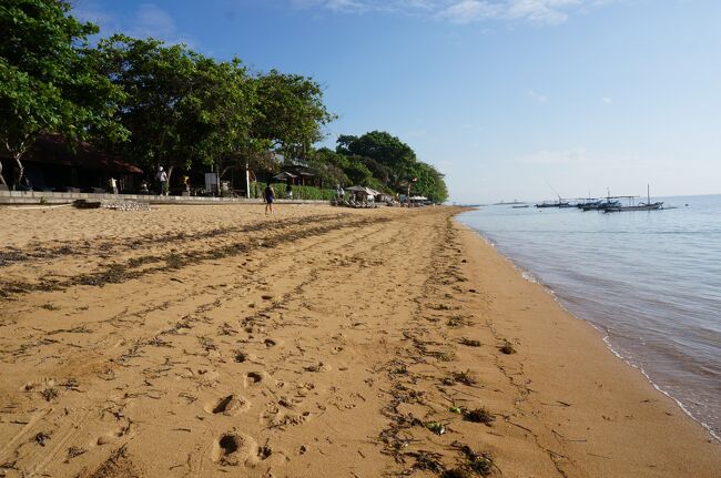 朝　近くのビーチをぶらぶら