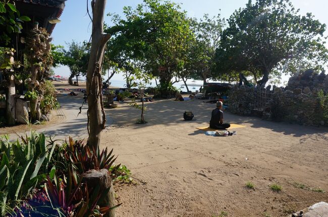 毎朝ヨガをやってるようです