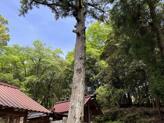 内宮にお詣りしたあと、こちらの神社に。石段を登ってお詣りして、帰りに社務所で御朱印を頂き神社を後にしました。お詣りする間、他にお詣りにこられる人はなくひっそりとしていました。内宮とは違いますね、と社務所の方と言葉を交わしました。
